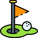 Why Choose .GOLF Domains?
